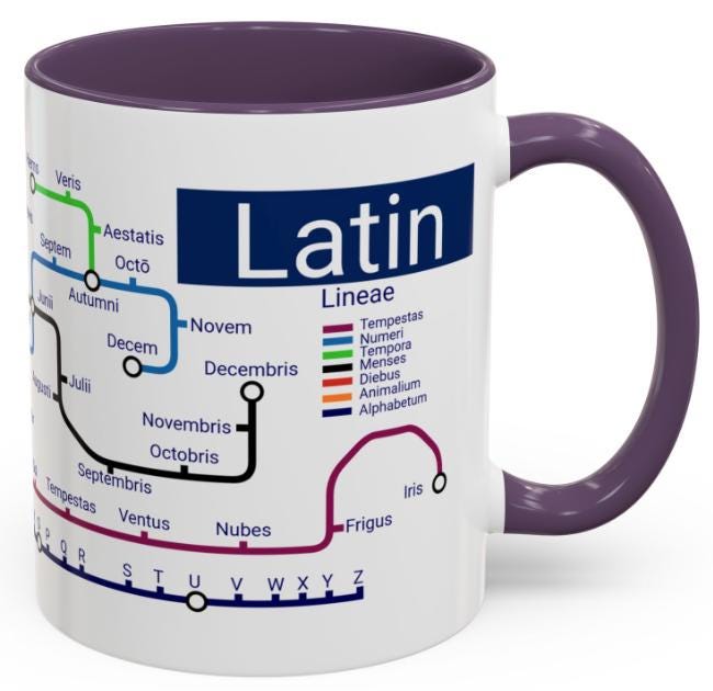 Latin Metro Mug: Classical Language Gift